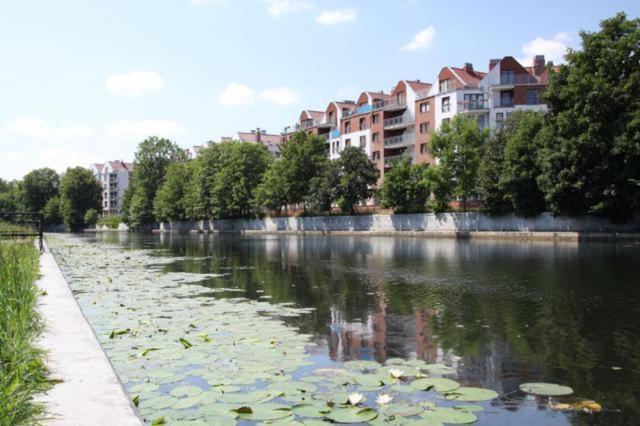 Apartament Bello - Free Parking Διαμέρισμα Γκντανσκ Εξωτερικό φωτογραφία