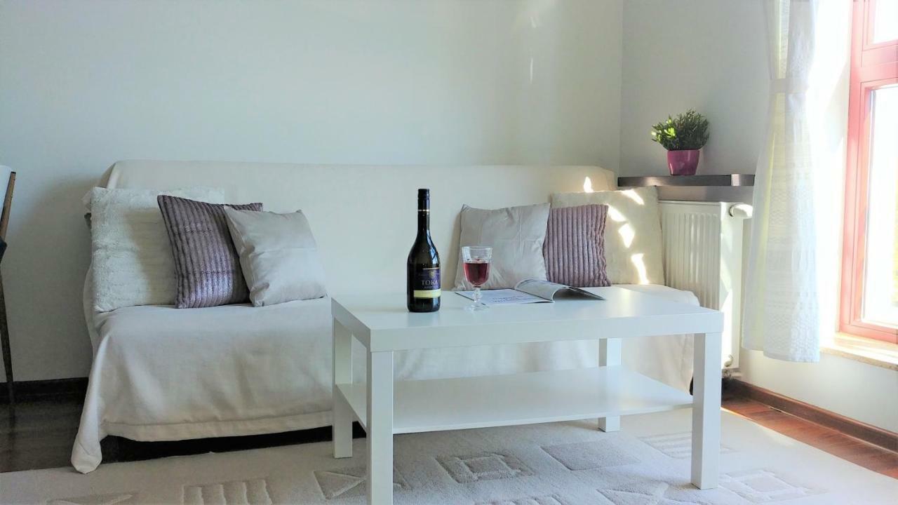 Apartament Bello - Free Parking Διαμέρισμα Γκντανσκ Εξωτερικό φωτογραφία